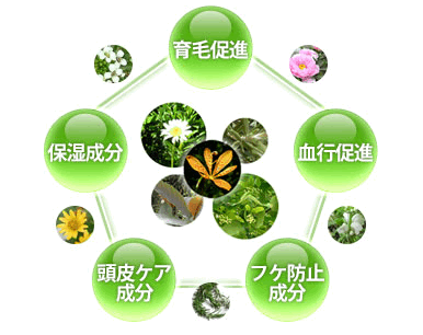 無添加育毛剤マイナチュレの成分