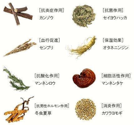 生薬ＷＡＫＡ［ワカ］の成分